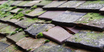 Penrhiwgoch roof repair costs
